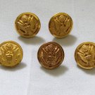 Military Buttons Waterbury, Fine Quality, Buttonworks  Lot of 5