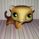 LPS Ferret #209
