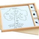 Montessori Botany Puzzle Activity Set Montessori Botany Puzzle Activity Set