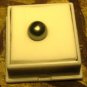 Black Cultured Tahitian Pearl 9-10mm Round Undrilled Loose NEW IN JEWELER'S CASE