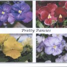 Pretty Pansies