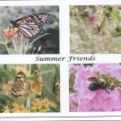 Summer Friends