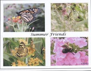 Summer Friends