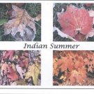 Indian summer
