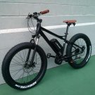 eRanger Electric MID DRIVE fat bike 48v 1000w 750w