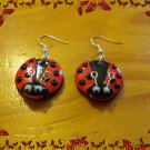 Ladybugs