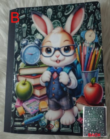Boy Bunny Composition Notebook