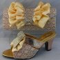 Shoes with matching bags TSH1048