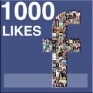 1000+ Real Facebook Likes To Your Facebook Fan Page