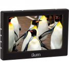 VL5 dslr Monitor