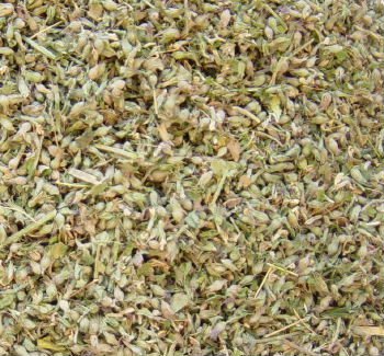 Catnip, Cut - 1 Lb