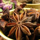 Echinacea Purpurea Root, Powder - 1 Lb