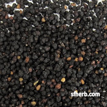 Elder Berries - 1 Lb