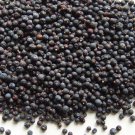 Juniper Berries, Blue - 1 Lb