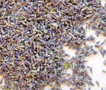 Lavender Flower Buds #1 - 8oz