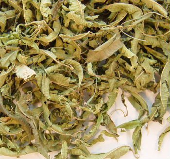 Lemon Verbena Leaves - 4 oz