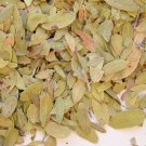 Uva Ursi Leaves (Pinguica) - 1 Lb