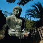 Master's Membership-6 months + 1 month free