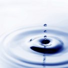 Awareness Membership - 1 month
