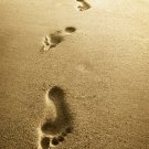 42 DAY JOURNEY WORK PROGRAM- THE BOOST