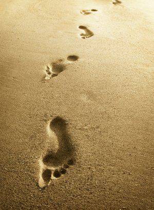 42 DAY JOURNEY WORK PROGRAM- THE BOOST