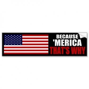 Because Merica That's Why Bumper Sticker