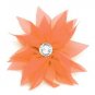 Orange Clip