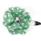 Green Headband