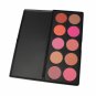 10 in 1 Blush Palette