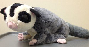 sugar glider plush