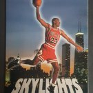 1993-94 Upper Deck #466 Michael Jordan
