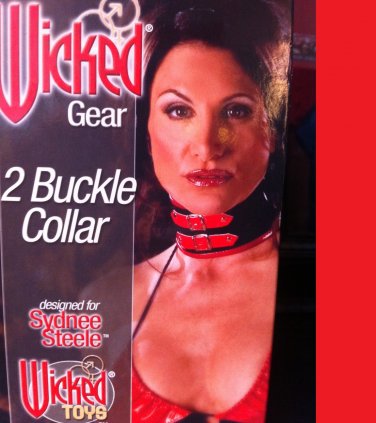 Bondage 2 buckle Collar patent leather