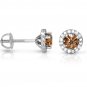 1.50 ct Chocolate Brown Round Diamond Halo Cluster Stud Earrings 14k White Gold (E1295-150WBR)