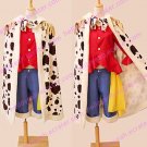 One Piece Two Years After Ver. Monkey D. Luffy Cosplay Costume