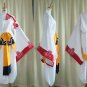 Sesshoumaru Cosplay from Inuyasha