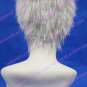Axis Powers Cosplay wig