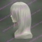 Cosplay Wig Inspired by Final Fantasy-Kadaj