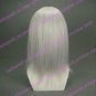 Cosplay Wig Inspired by Final Fantasy-Kadaj