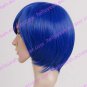 Gundam Seed Athrun Zala Cosplay wig