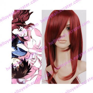 Mobile Suit Gundam SEED Flay Allster Cosplay wig
