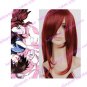 Mobile Suit Gundam SEED Flay Allster Cosplay wig