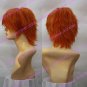 Cosplay wigs - Irie Shoichi  wigs from HitmanReborn