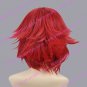 Cosplay Wig Inspired by .Hack Trilogy Alkaid Red VER.