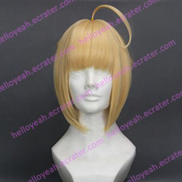 Cosplay Wig Inspired by Fate Series-Saber Bun VER.