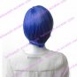 Cosplay Wig Inspired by Mawaru-Penguindrum-Shoma Takakura