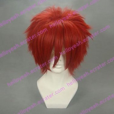 Cosplay Wig Inspired by The Prince of Tennis-Kintarou Tooyama