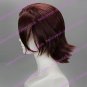 Cosplay Wig Inspired by Tiger & Bunny-Kotetsu T.Kaburagi