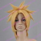 Kingdom Heart Xehanort Cosplay Wig