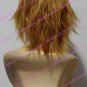 VitaminX Cosplay wig