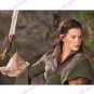 The Lord of the Rings Arwen Chase Dress Costume
